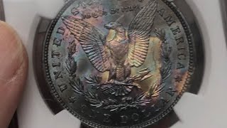 Graded Tone Morgan Silver Dollars [upl. by Pelmas]