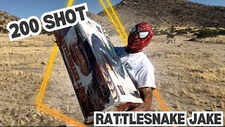 Rattlesnake Jake 200 shot Firework [upl. by Hachmin93]