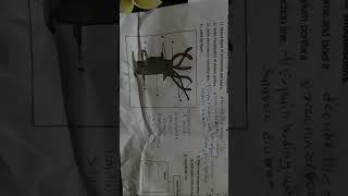 from Std 10th science part 2 question paper semi marathi live videossc bored new exam video 10 [upl. by Ilowell957]