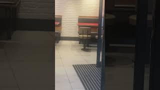 Hungry Jacks For Brekkie funnyvideo pigeon hungryjacks australia travel humor youtubeshorts [upl. by Mihe]