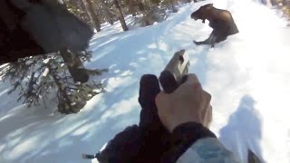 Angry Moose Fatal shoot [upl. by Hild397]