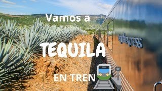 Vámonos a Tequila en tren 🚂 [upl. by Notfa]