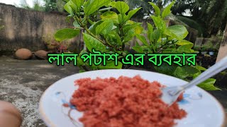 how to use muriate of potash  লাল পটাশ এর ব্যবহার [upl. by Annil]