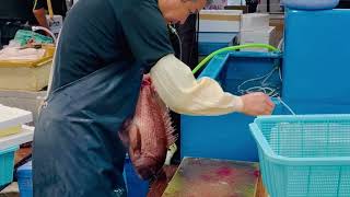 An Exclusive Tour of Toyosu Fish Market Japan [upl. by Ramhaj]