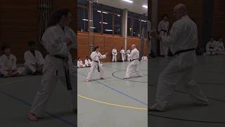 Karate Selbstverteidigung Aarau [upl. by Menard]