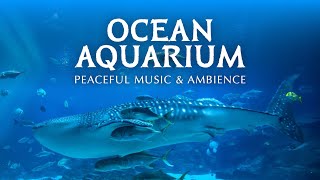 🦈 Ocean Aquarium  Underwater Ambience with Peaceful Music for Study Sleep and Relaxing [upl. by Daney]