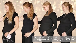 Pregnancy Transformation  Meine zweite Schwangerschaft im Zeitraffer MuckelWunder [upl. by Kera749]