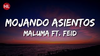 Maluma  Mojando Asientos ft Feid Letra  Lyrics [upl. by Aleda289]