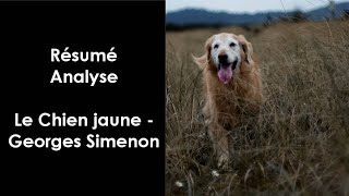 quotLe Chien jaunequot de Georges Simenon [upl. by Aleusnoc549]