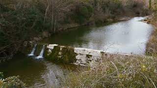 Conques sur Orbiel quotLes amandiers en fleursquot Claude Gironis 2022 [upl. by Ellen730]