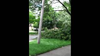 Mount Prospect tornado [upl. by Reinhold981]