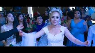 Aras amp Nawal Wedding Part 5 Music Tarek Shexani  Ronahi Studio [upl. by Kennett]