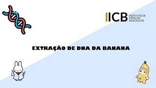 EXTRAÇÃO DE DNA DE UMA BANANA 🍌 [upl. by Garvy906]