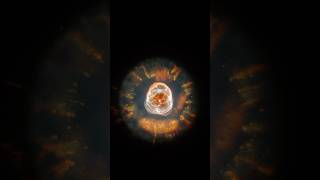 zoom into NGC 2392  Eskimo Nebula Clown Face Nebula shorts trendingshorts [upl. by Larissa178]