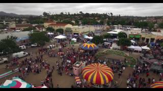 Strawberry Festival 2016 in 4K [upl. by Nyltiak380]