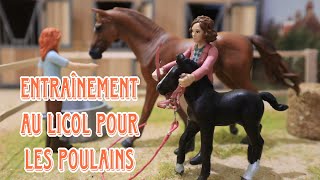 VLOG Une nouvelle palefrenière arrive au Haras [upl. by Eddana]