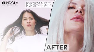 How to Dark Hair into Platinum [upl. by Willcox872]