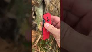 Milwaukee Fastback Utility Knife But Can It Fight Off A Bear [upl. by Ivz]