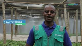 Fogger Irrigation System at Kaweri Coffee Plantation [upl. by Yanaj]