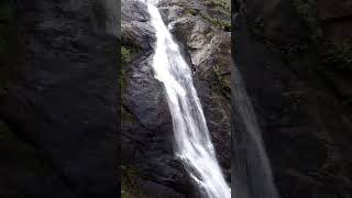 Palaruvi waterfalls Kollam Kerala  പാലരുവി വെള്ളച്ചാട്ടം palaruviwaterfalls [upl. by Oconnor]