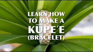 How to make a kūpeʻe bracelet [upl. by Neehsar106]