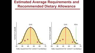 Nutrition Terminology Explained 5 minutes [upl. by Zoara]