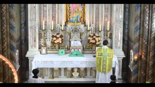 Graduale  Venite filii  Canto Gregoriano  Missa Tridentina  Traditional Latin Mass SUBTITLES [upl. by Bobbye]