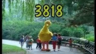 Sesame Street FULL Episode 3818 [upl. by Leavelle]