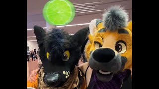 Anthrocon 2023 the stolen flying fruit [upl. by Yanal]