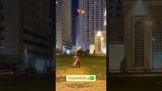 Tape ball cricket 🏏 fun Cricket tapeballcricket cricketdxb dubai [upl. by Robyn208]