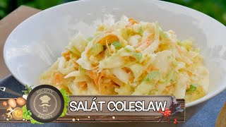 SALÁT COLESLAW POZOR HOLANDSKÁ HVĚZDA PADÁ PŘÍMO NA VÁŠ STŮL [upl. by Nhtanhoj268]