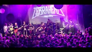 Zebrahead  Pulling Teeth First time ever Live in Oberhausen Resonanzwerk 23072024 [upl. by Alyac402]