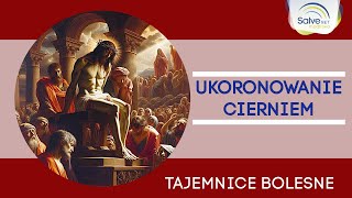 Różaniec Trzecia tajemnica bolesna  UKORONOWANIE CIERNIEM [upl. by Zwart]