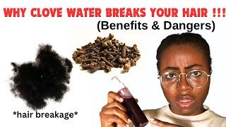 “WHY CLOVES WATER BREAKS YOUR HAIR”l Benefits and Dangers of Cloves for Hair Growth [upl. by Littlejohn]