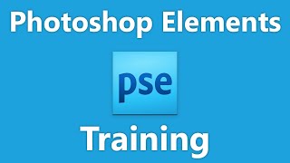 Learn about Image Size and Resolution Settings in Adobe Photoshop Elements 2023 A Training Tutorial [upl. by Ahsieki989]