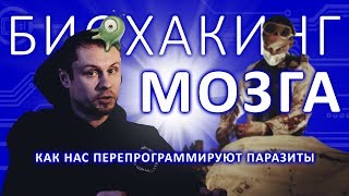 БИОХАКИНГ МОЗГА Почему мы ведем себя иррационально [upl. by Troy]