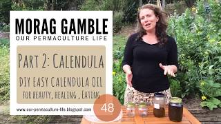 Make Calendula Flower Oil for skin care healing and eating [upl. by Attennek]