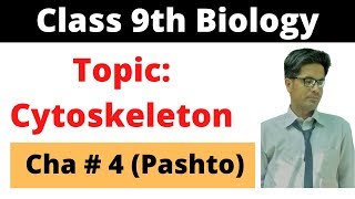 Cytoskeleton  Class 9 biology  Cha 4  Pashto  Home of biology [upl. by Buller]