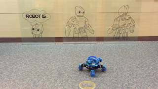 TurtleBot3 10 Friends  Real TurtleBot [upl. by Wilton]