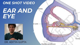 SENSORY ORGANS  EAR AND EYE  ONE SHOT VIDEO NCERT Based Human Physio ncertbiology oneshotvideo [upl. by Fiedling]