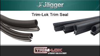 TrimLok How to Install Trim Seal  Commercial Vehicle Fittings  Albert Jagger [upl. by Yntrok]