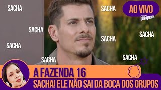 🟠 SACHA PROMETE CAOS SE BABI SAIR REVIRAVOLTA NA ROÇA SACHA QUER FERNANDO NA ROÇA ENQUETES [upl. by Ocirderf410]