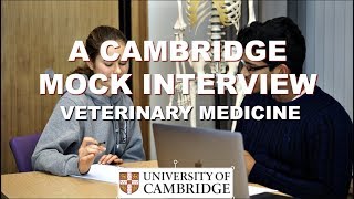 Sample Questions to Ask Interviewers During Vet School Interview [upl. by Erna501]