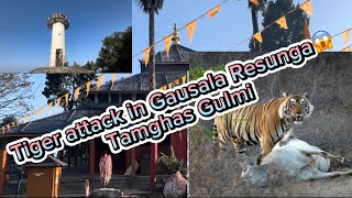 ResungaThe hidden treasure of Nepal in Tamghas Gulmi [upl. by Jueta]