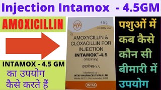 Injection Intamox  Intamox injection use in hindi [upl. by Hidie500]