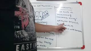 columnar epithelium tissue std9th cbse9th gseb std 9 chapter 6 [upl. by Aslin4]