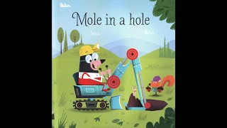 16 Mole in a hole  Usborne Phonics Readers [upl. by Saxe67]