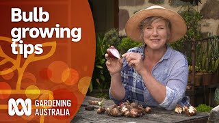 Everything you need to know about growing bulbs  Gardening 101  Gardening Australia [upl. by Aidyl]