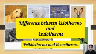 Difference between Ectotherms and Endotherms l Poikilotherms and Homotherms l Biology By Neha Binwal [upl. by Ttennaj]