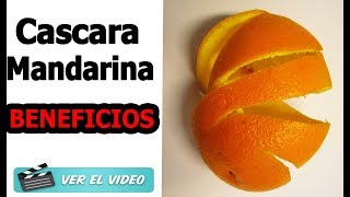 Conoce los Beneficios de la Cáscara De Mandarina y prepara cualquiera de estas 7 Recetas [upl. by Oicaro]